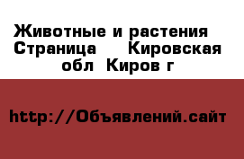  Животные и растения - Страница 4 . Кировская обл.,Киров г.